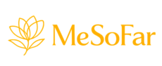 mesofar logo